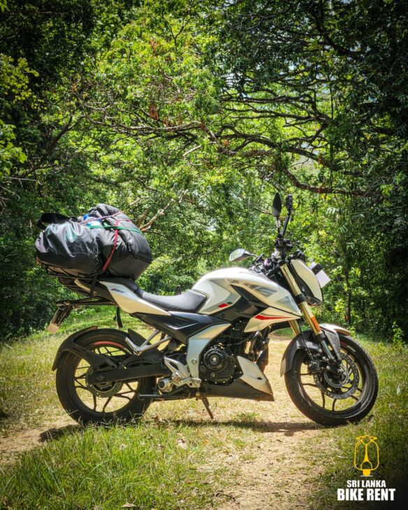 Pulsar 150cc