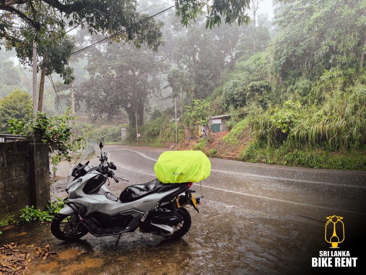 Can I drive in Sri Lanka with my Irish Driving License?