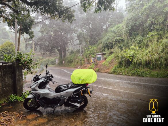 Can I drive in Sri Lanka with my Irish Driving License?