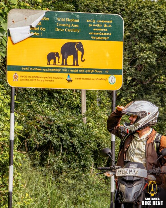Is my Netherlands Driving License valid in Sri Lanka?