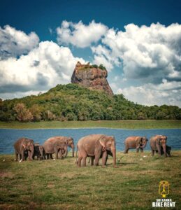 Is my Switzerland Driving License valid in Sri Lanka?