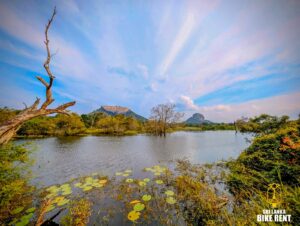 Is my UK Driver's Licence Valid in Sri Lanka?