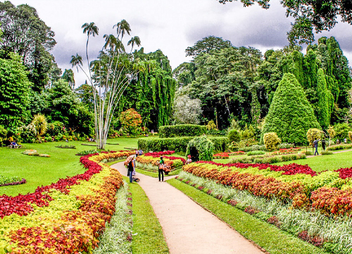 Royal Botanical Gardens Peradeniya