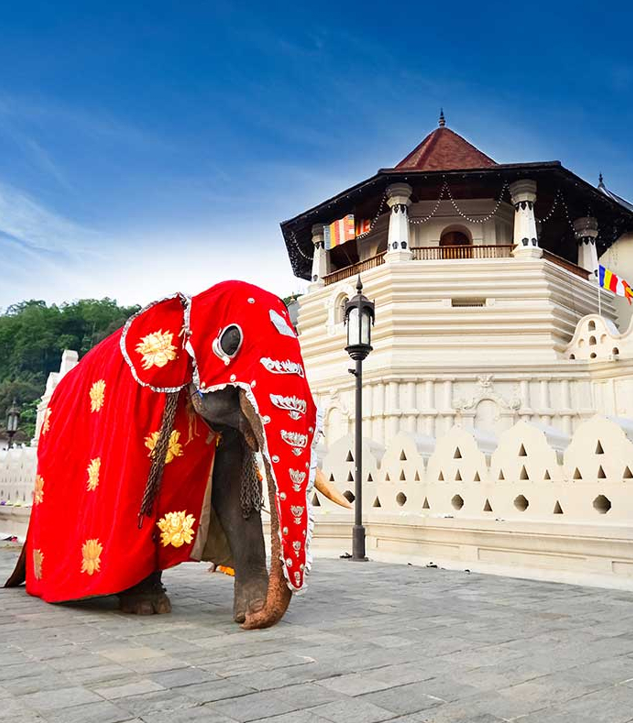 Kandy half day temple circuit map
