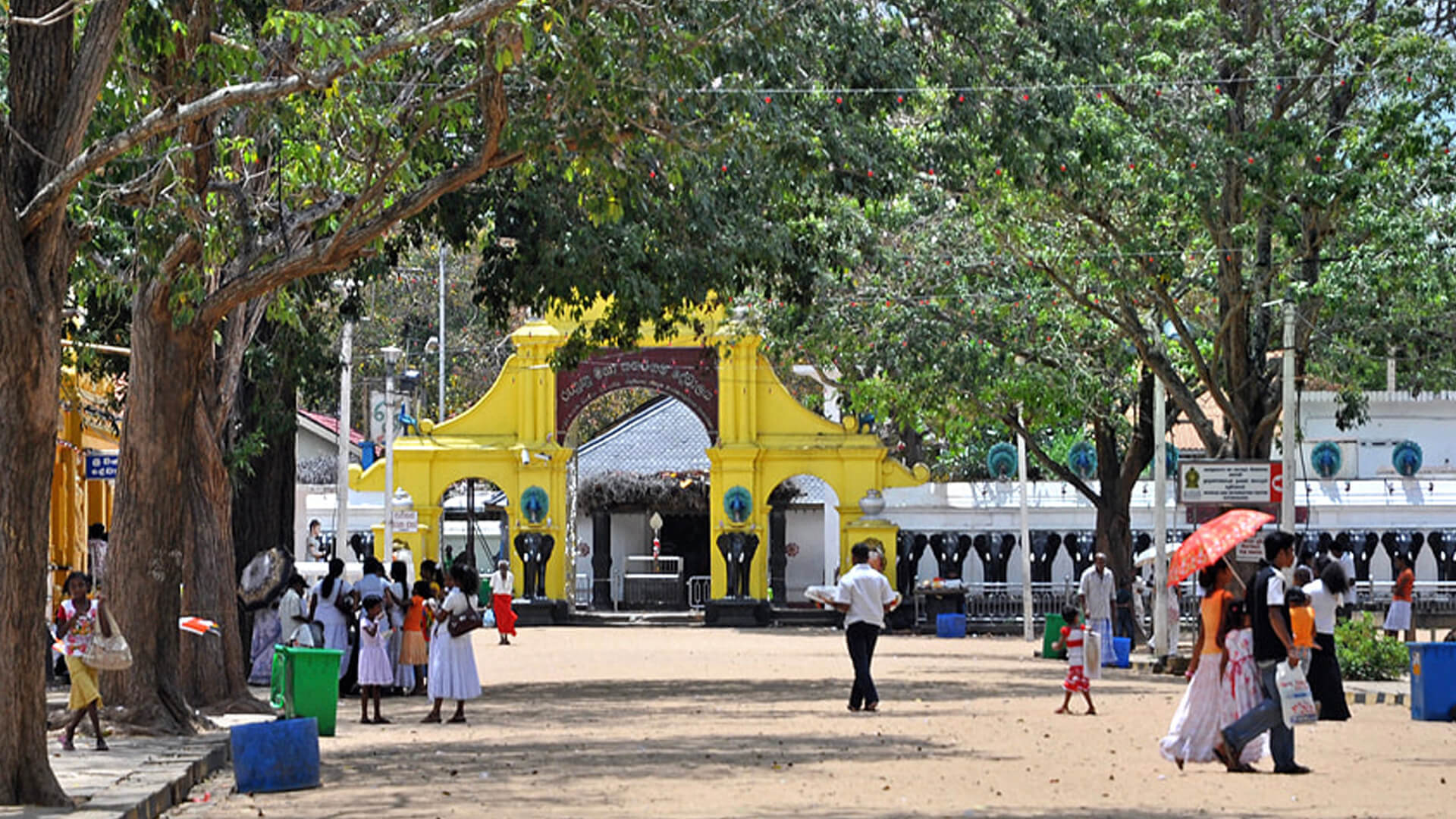 Kataragama to Tangalle south coast wildlife corridor motorcycle ride